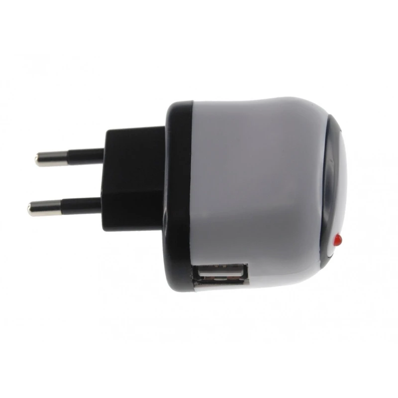 USB napájecí adaptér 10W pro iPad iPad 2 kompatibilní s iPod a iPhone